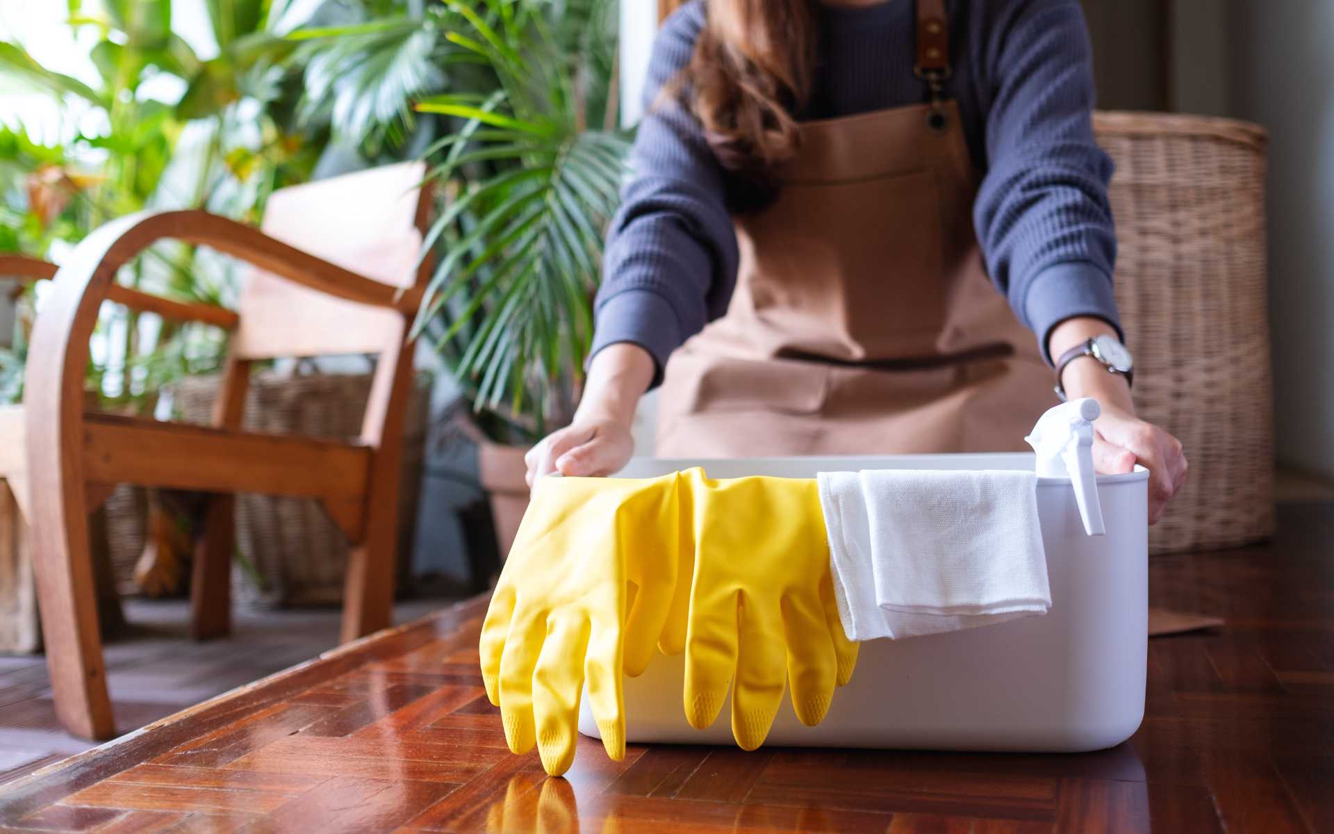 benefits-of-a-cleaning-professional